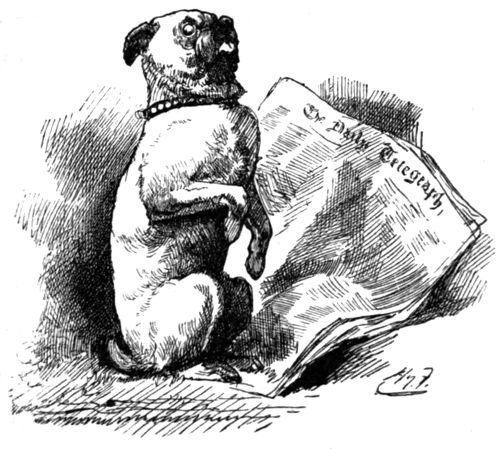 ‘THE PUG-DOG SAT UP’