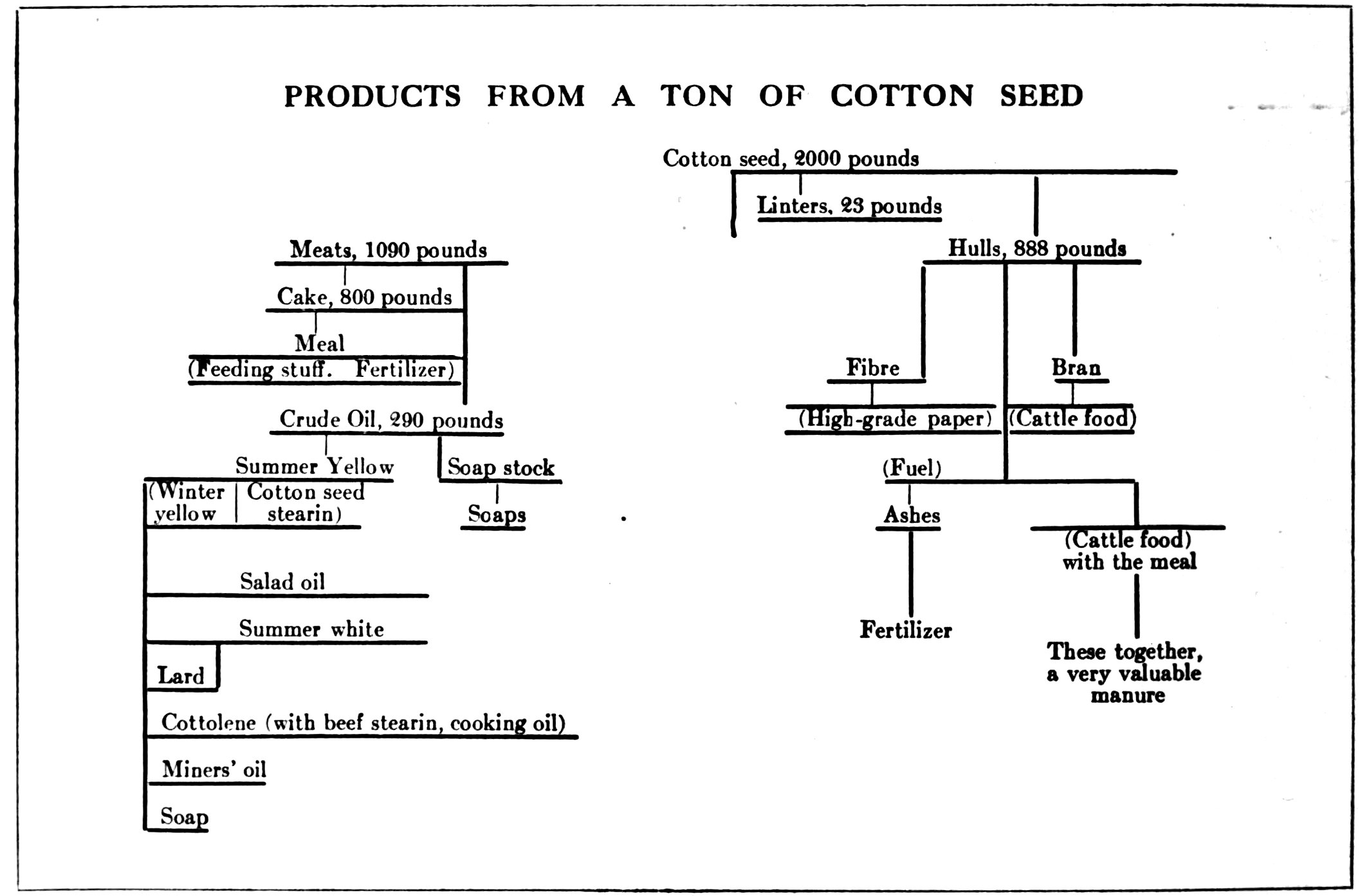 PRODUCTS FROM A TON OF COTTON SEED
