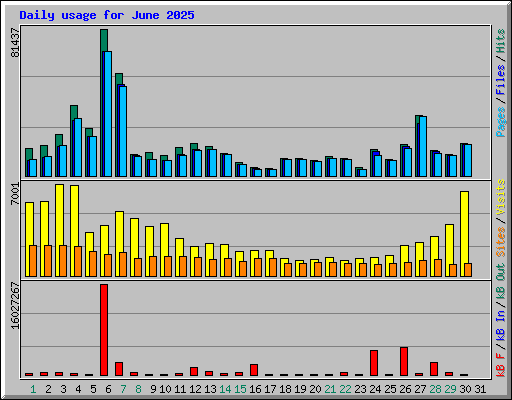 Daily usage for June 2025