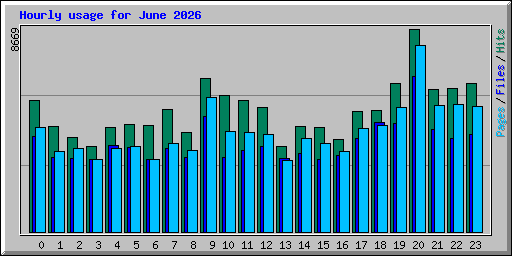Hourly usage for June 2026