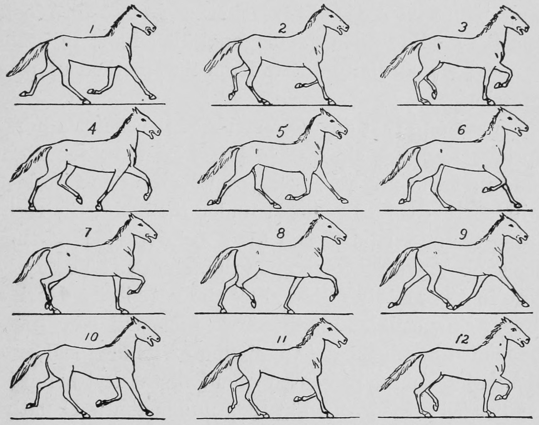 Some consecutive phases of the rack.