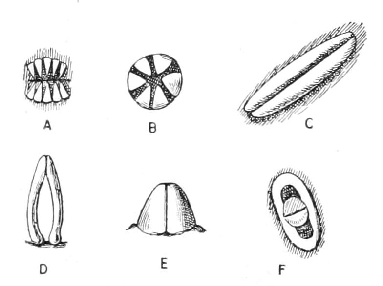 fig195
