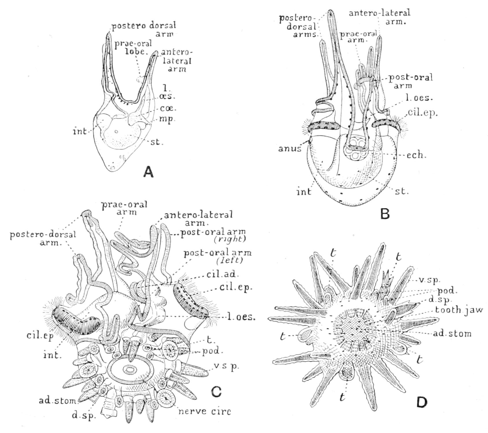 fig291