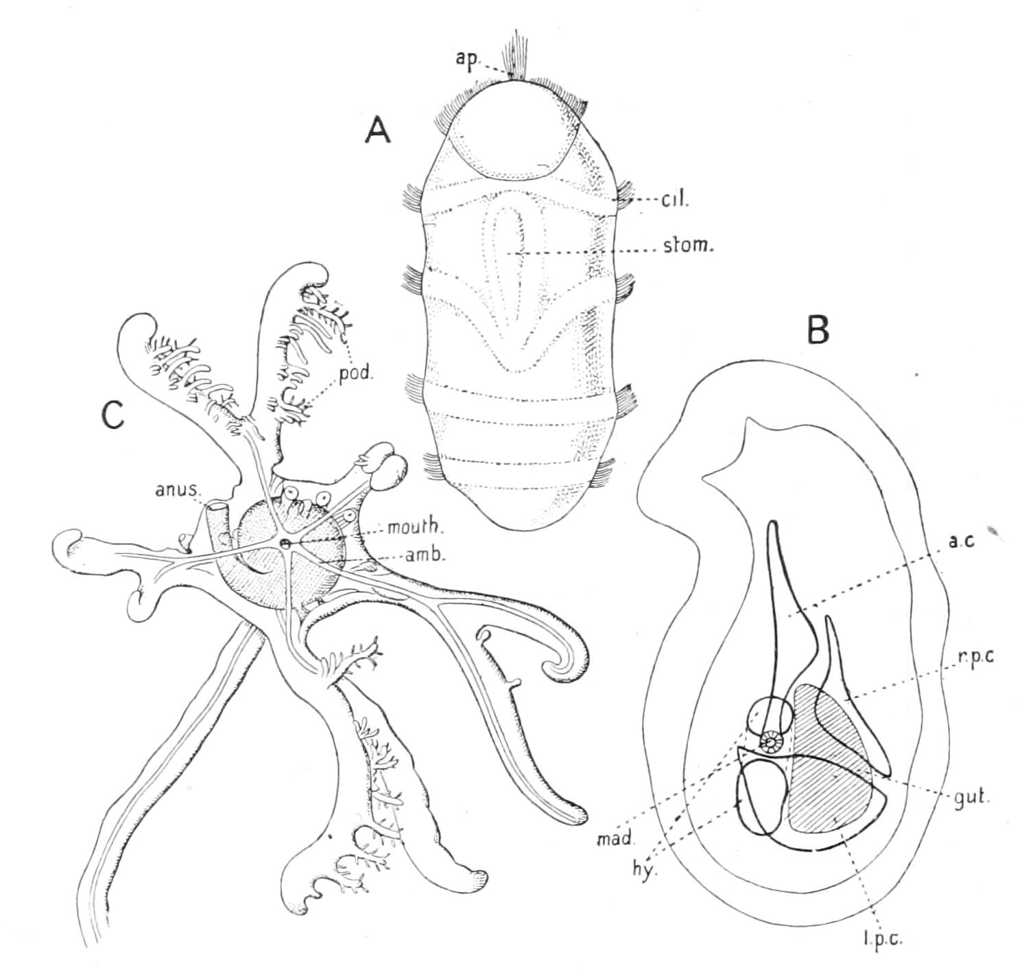 fig294