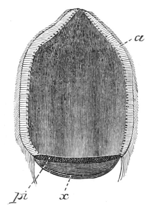 fig67