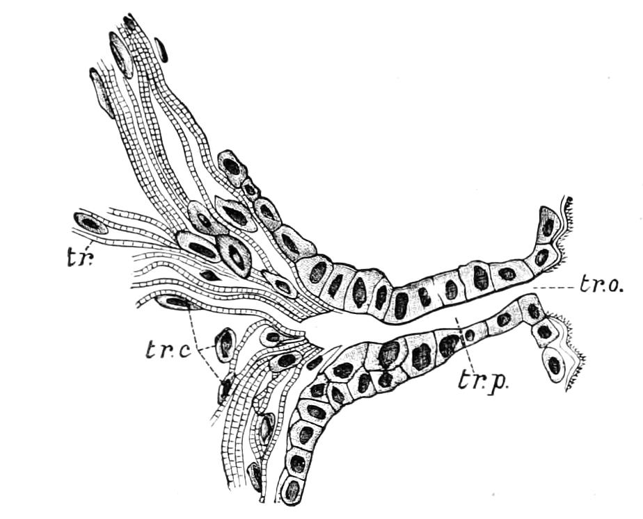 fig10