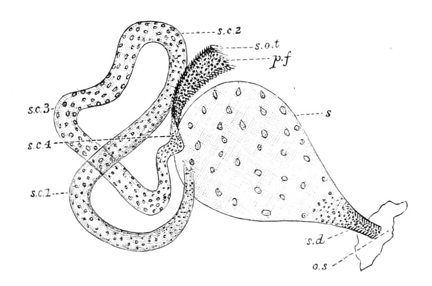 fig11