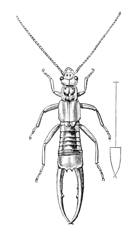 fig110