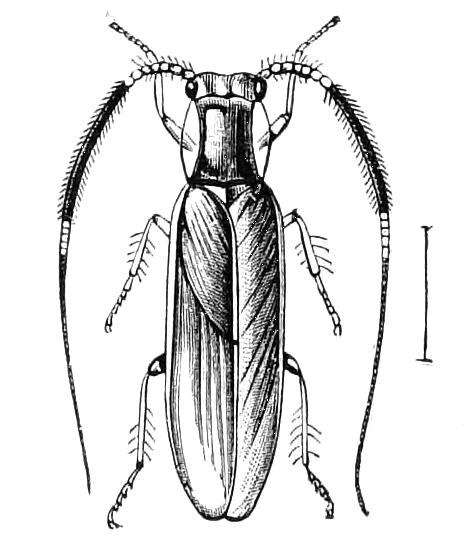 fig129