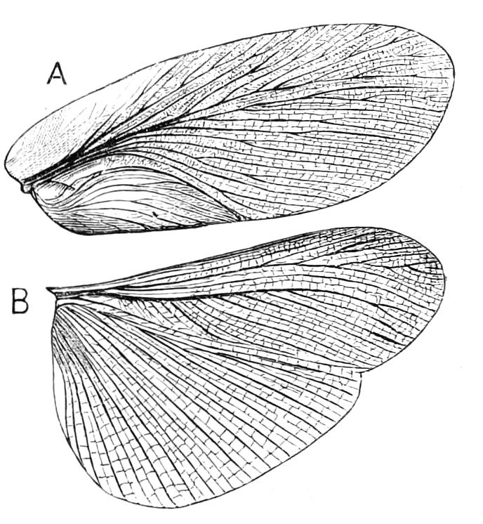 fig132