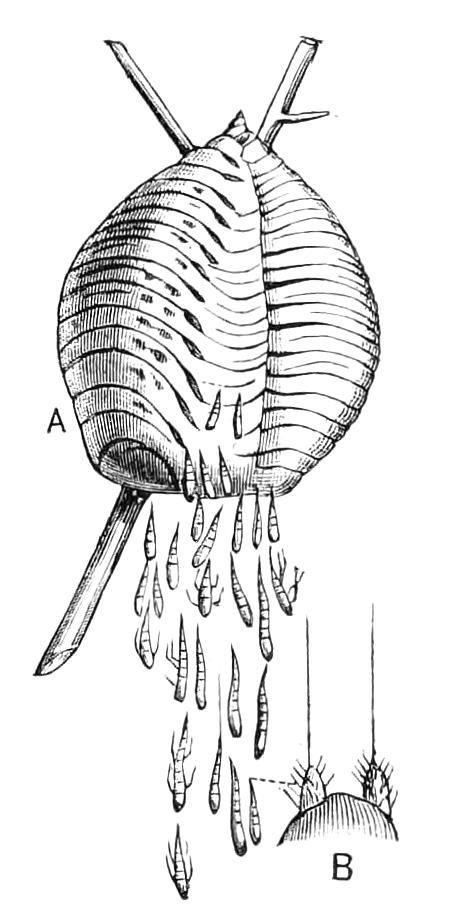 fig138