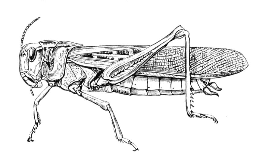 fig177