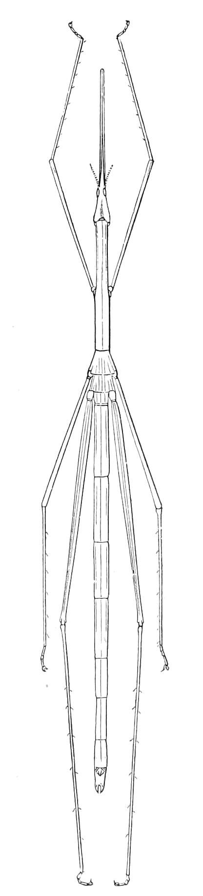 fig178