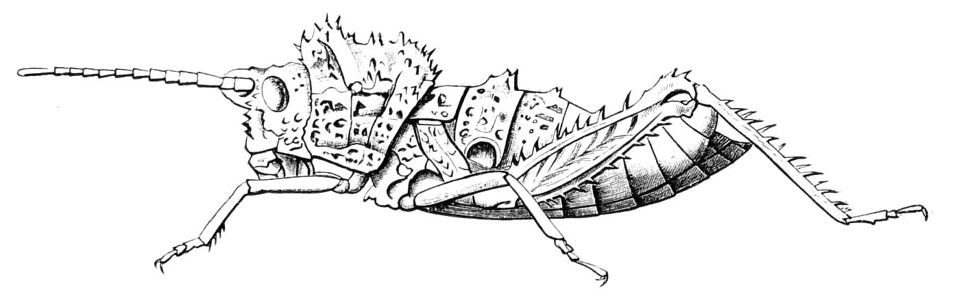 fig184