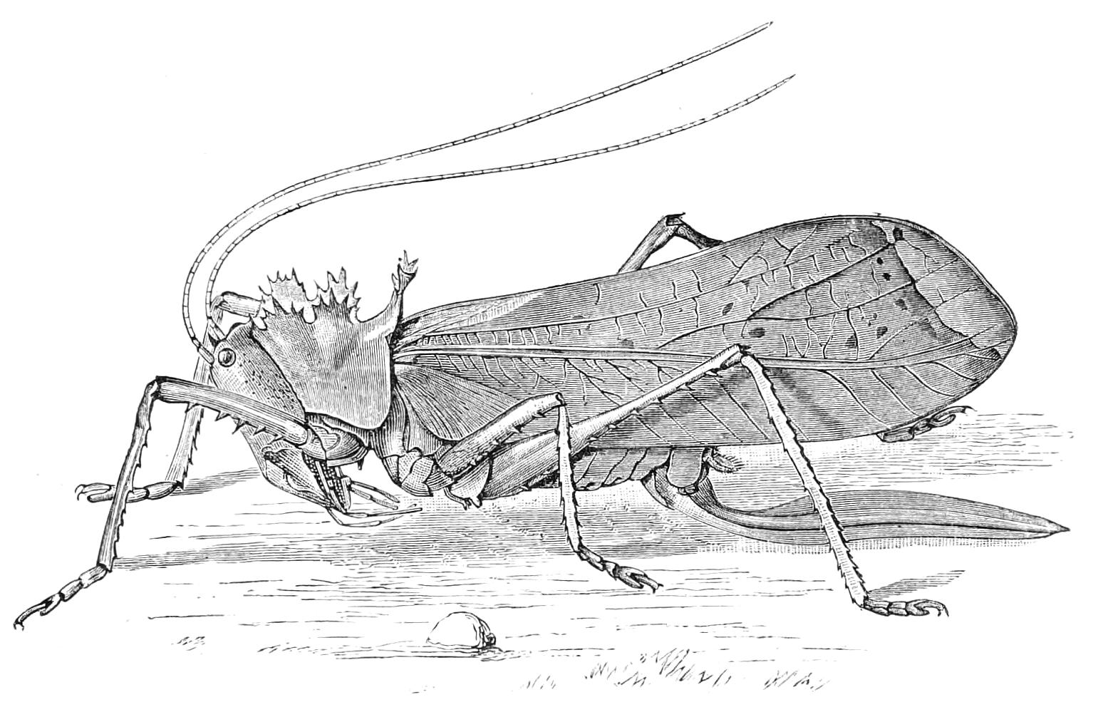 fig203