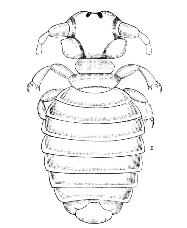 fig220