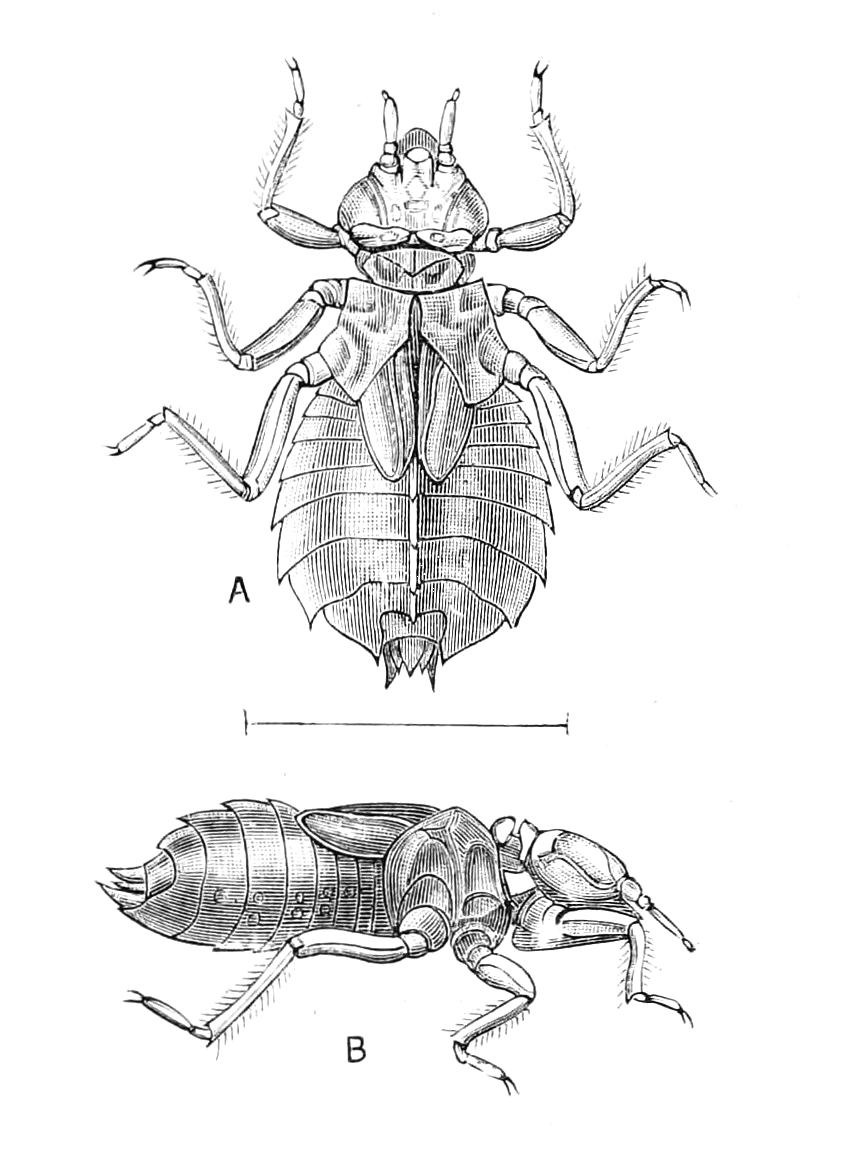 fig266