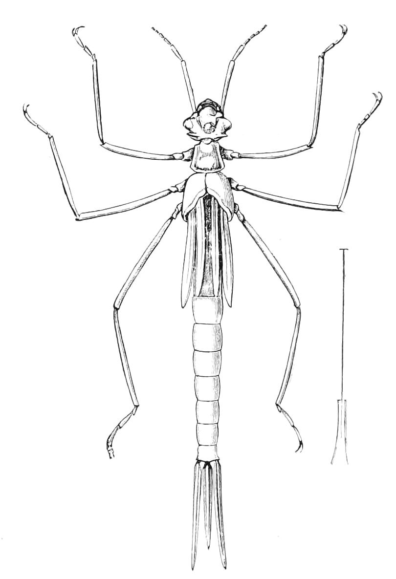 fig270
