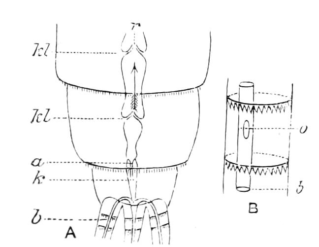 fig281