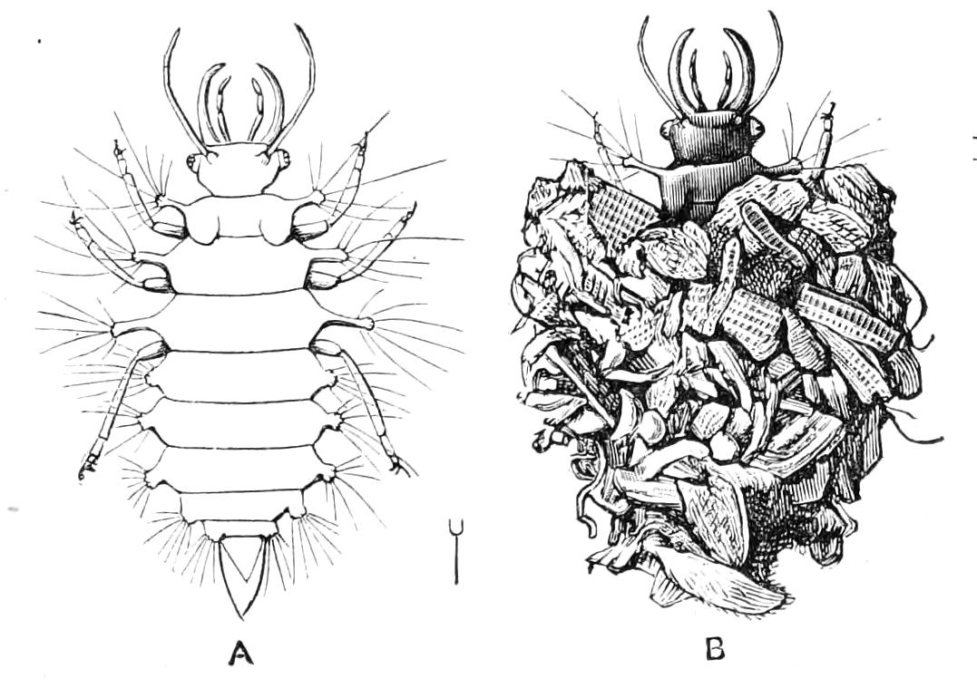 fig311
