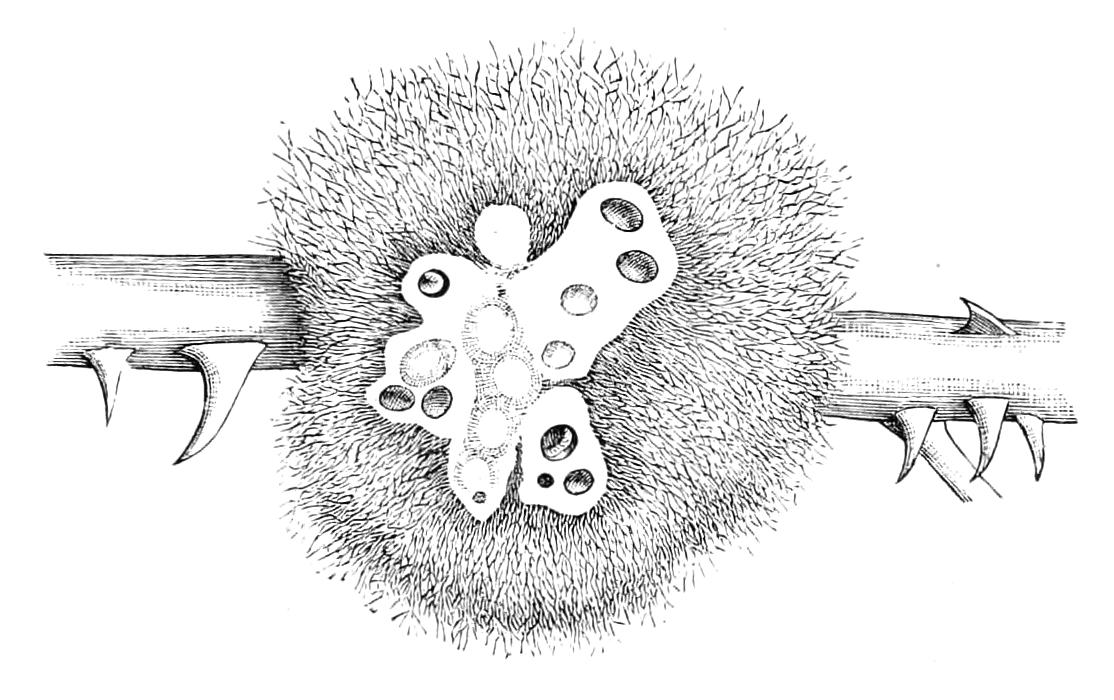 fig348