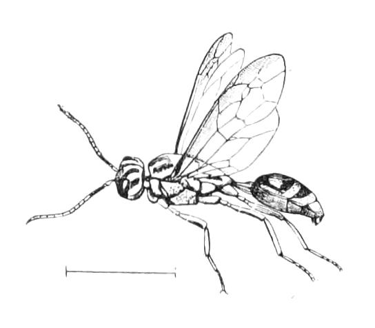fig371