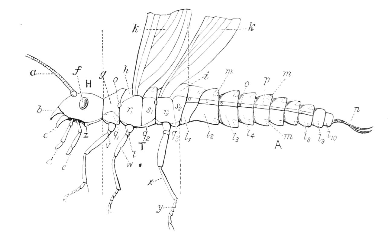fig47