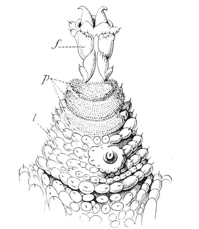 fig6