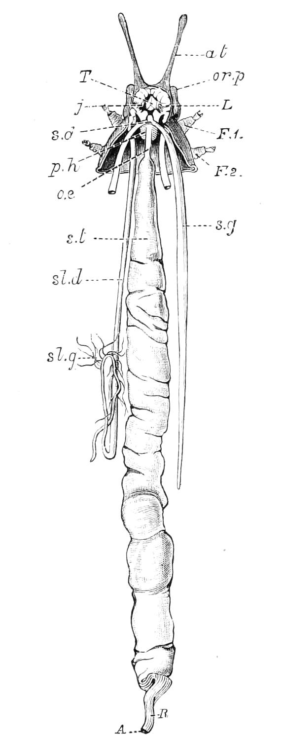 fig8
