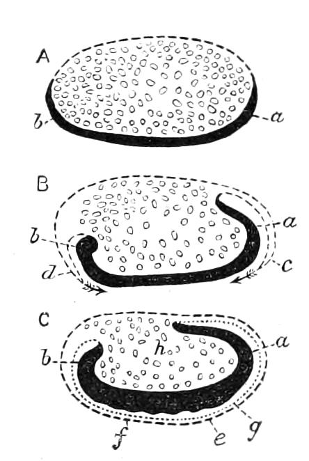fig80