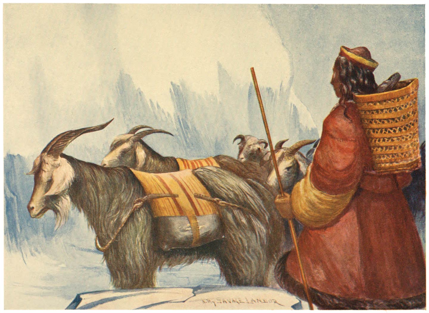 Goats carrying Loads of Borax