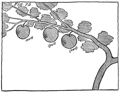 Figure 75: Map of river turned into a branch of an apple tree.