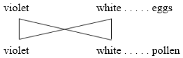 diagram showing possible combinations of characters produced when two hybrids are in-bred