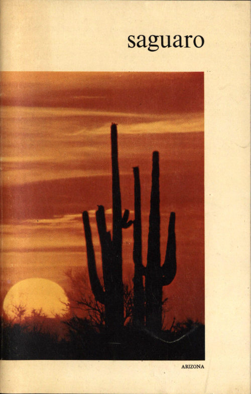 Saguaro National Monument