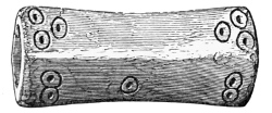 Fig. 232.—One of a set of Dice made from a sheep shank-bone found in the Broch of Burrian (actual size).
