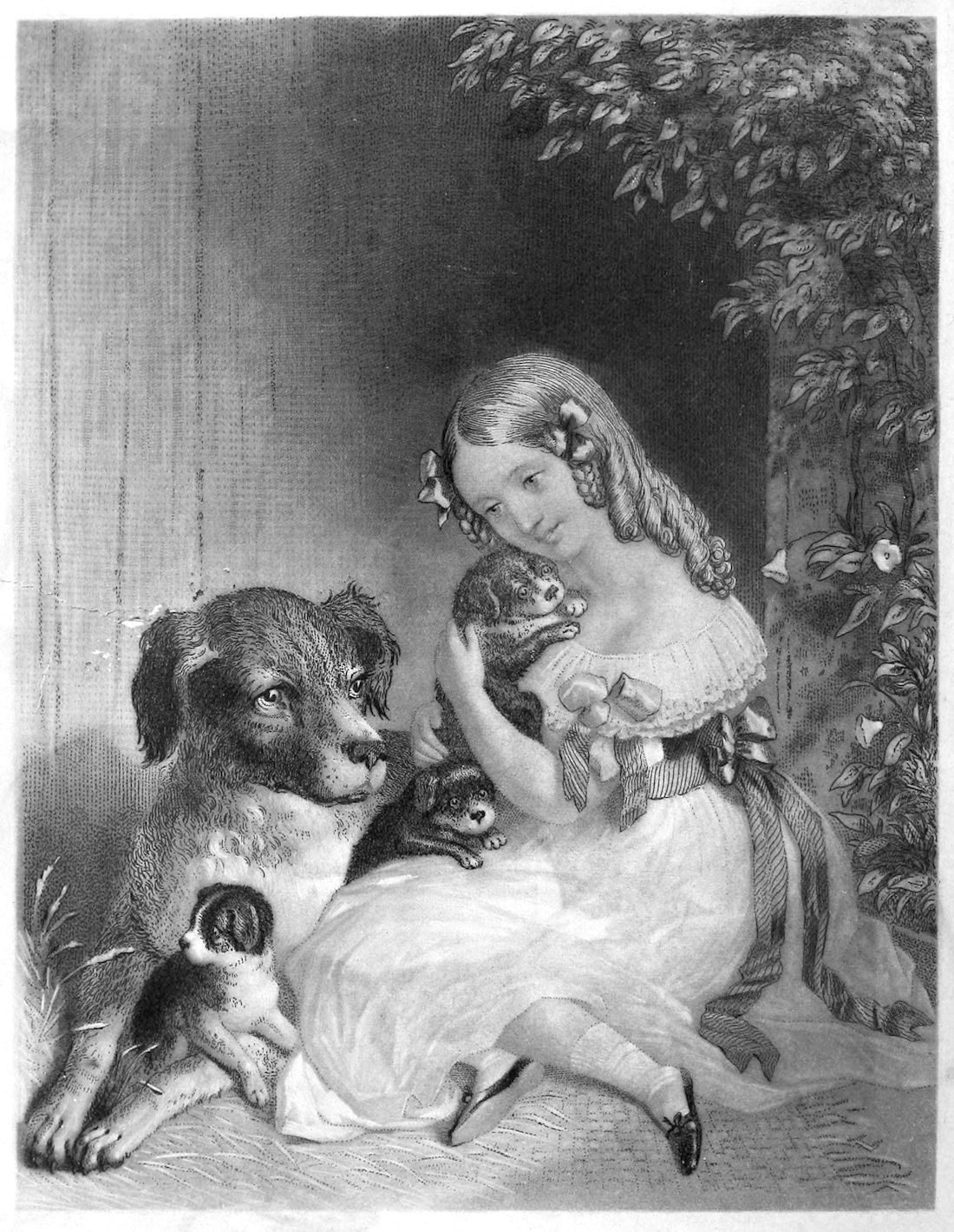 a young girl with a dog and puppies